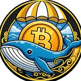 Video integration on Whale Finance