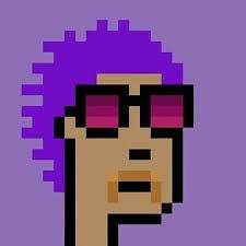 Project review on PurpledudeNFT