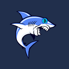Dedicated video on Shark Numbers