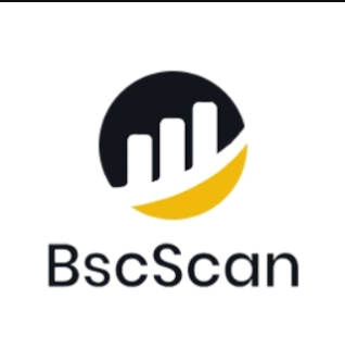 Search Ad on BscScan