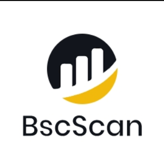 Homepage Banner on BscScan