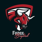 Mention in a video on FOREX AND BEYOND